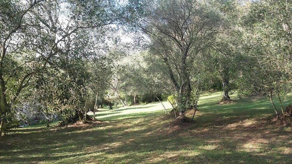 Karamali Green Danilia Villas 고우비아 외부 사진